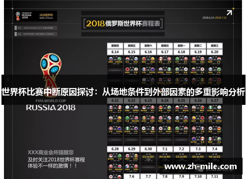 世界杯比赛中断原因探讨：从场地条件到外部因素的多重影响分析