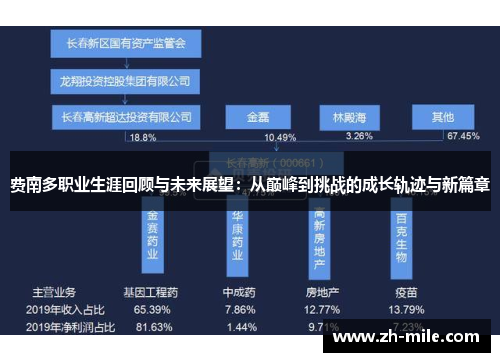 费南多职业生涯回顾与未来展望：从巅峰到挑战的成长轨迹与新篇章