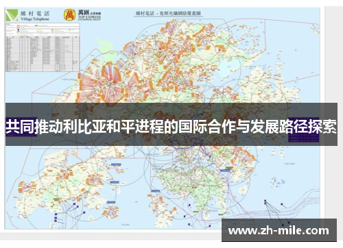 共同推动利比亚和平进程的国际合作与发展路径探索