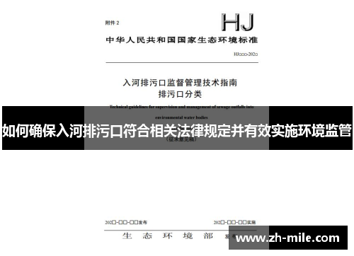 如何确保入河排污口符合相关法律规定并有效实施环境监管