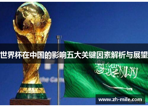 世界杯在中国的影响五大关键因素解析与展望