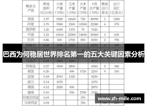巴西为何稳居世界排名第一的五大关键因素分析