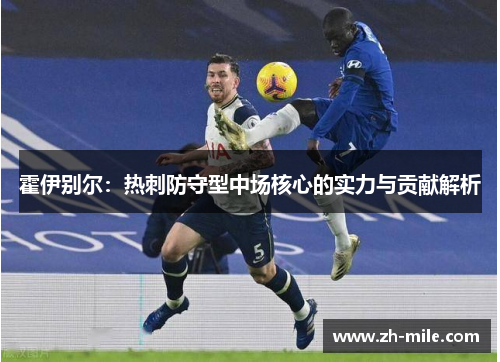 霍伊别尔：热刺防守型中场核心的实力与贡献解析
