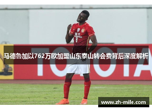 马德鲁加以762万欧加盟山东泰山转会费背后深度解析