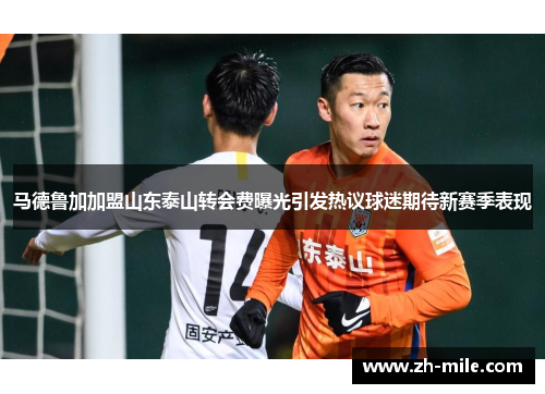 马德鲁加加盟山东泰山转会费曝光引发热议球迷期待新赛季表现