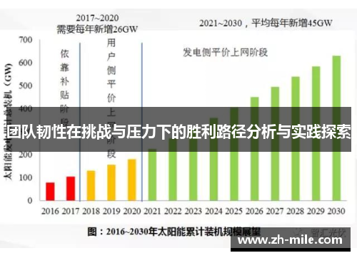 团队韧性在挑战与压力下的胜利路径分析与实践探索