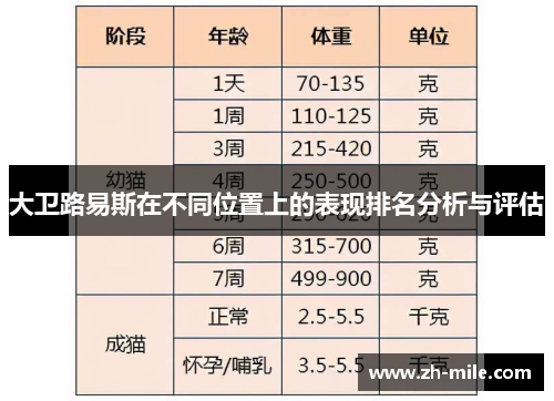 大卫路易斯在不同位置上的表现排名分析与评估