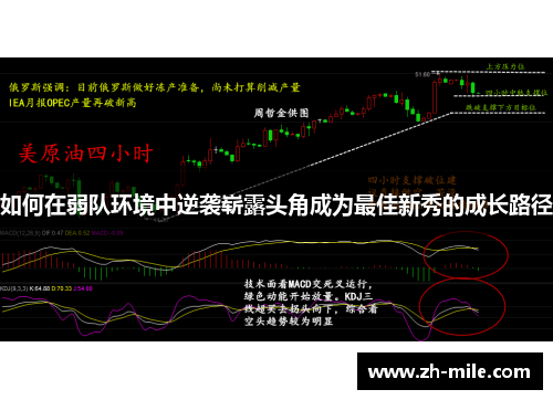 如何在弱队环境中逆袭崭露头角成为最佳新秀的成长路径
