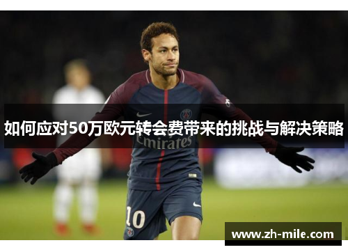 如何应对50万欧元转会费带来的挑战与解决策略