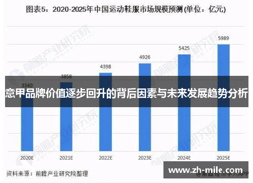 意甲品牌价值逐步回升的背后因素与未来发展趋势分析 意甲品牌价值逐步回升的背后因素与未来发展趋势分析